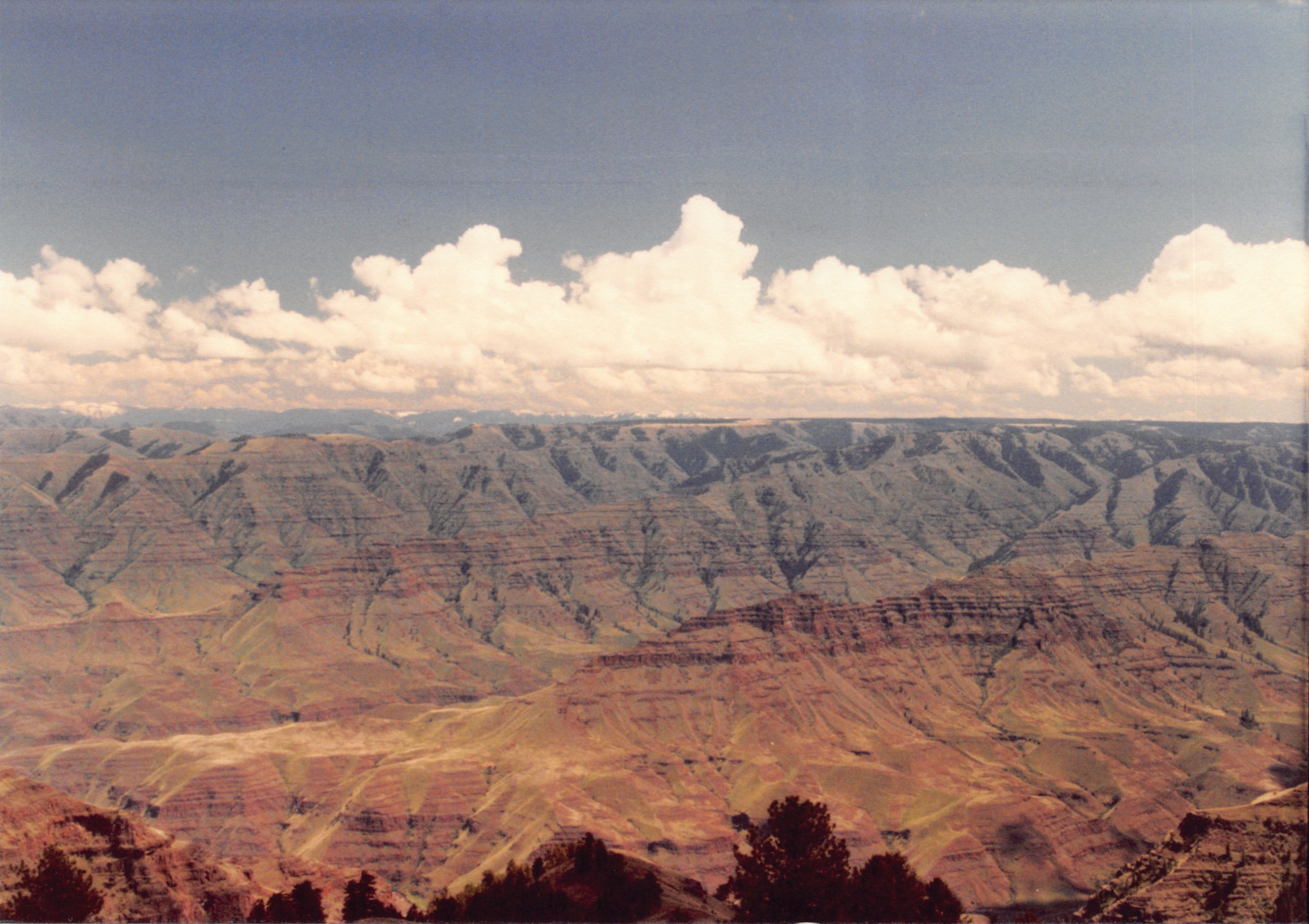 1985_Part 2_01_049.jpg